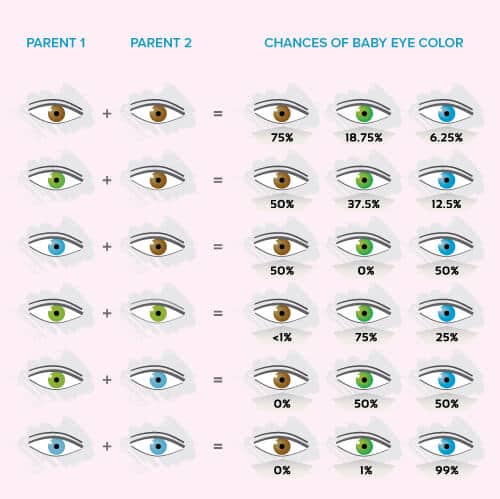 baby eye color chart