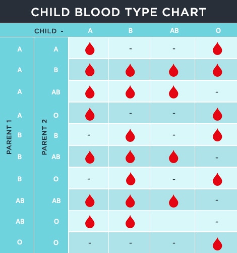 child blood type chart